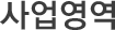 사업영역